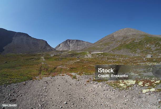 Khibiny Mountains Stock Photo - Download Image Now - Animal Wildlife, Animals In The Wild, Beauty