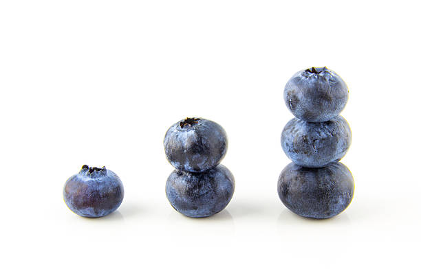 Fresh blueberries isolated on a white background.