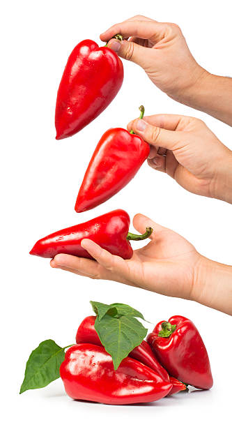 istock Red peppers and leaves 186427058