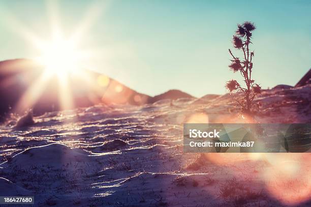 태양 플레어 On 스노이 슬로프 겨울에 대한 스톡 사진 및 기타 이미지 - 겨울, 경관, 모험