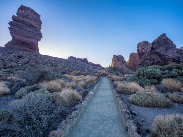 istock Landscape of Teide National Park 1864276871