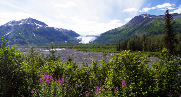 istock Exit Glacier, Kenai Peninsula, Alaska, United States 1864294854