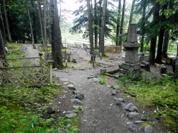 gold rush cemetery, skagway, white pass, chilkoot pass, yucon, klondike, alaska, united states - gold rush courgette imagens e fotografias de stock