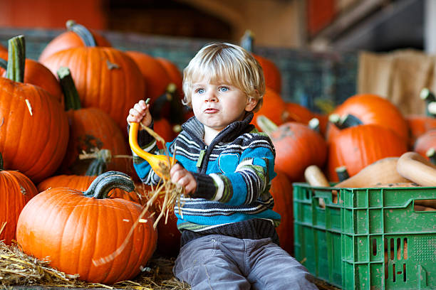 istock Little blond boy on pumpkin patch farm. 186430809