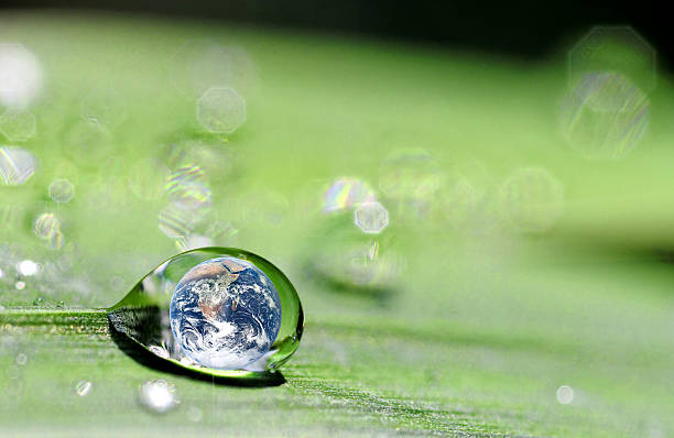 istock Close-up of rain falling on leaves and the globe inside drop 186430887