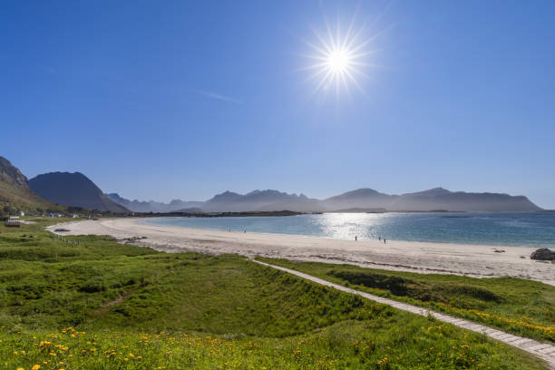 Sunlit pathway meandering through grass and wildflowers to the white sands of Rambergstranda Beach in Jusnesvika Bay, Lofoten, with a shimmering sea and mountainous horizon under a radiant sun sendero iluminado por el sol que serpentea a través de la hierba y las flores silvestres hasta las arenas blancas de la playa de rambergstranda en la bahía de jusnesvika, lofoten, con un mar brillante y un horizonte montañoso bajo un sol radiante