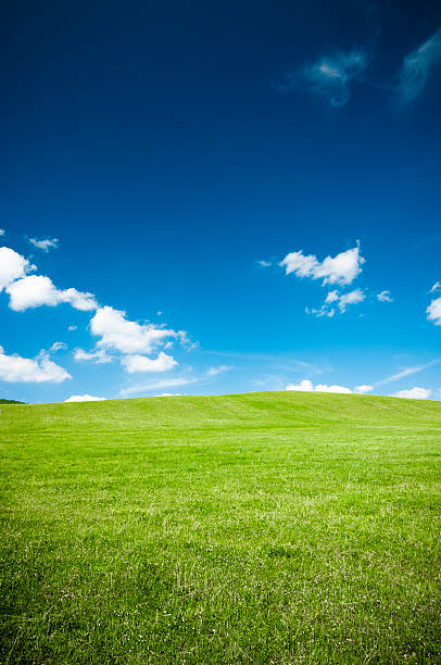 istock Green meadow and the blue sky 186431618