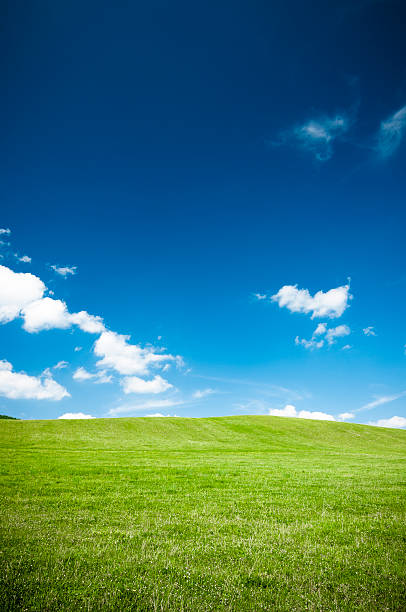 istock Green meadow and the blue sky 186433227