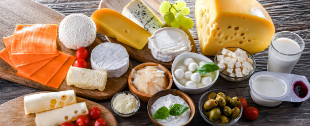 A variety of dairy products including cheese, milk and yogurt A variety of dairy products including cheese, milk and yogurt. lactose fermentation stock pictures, royalty-free photos & images