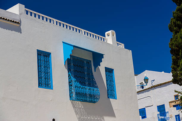 istock Old arabic town in Tunisia - Sidi Bu Said 186442636