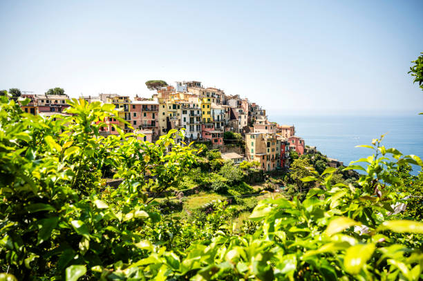 istock Village of Corniglia in summer 1864437305