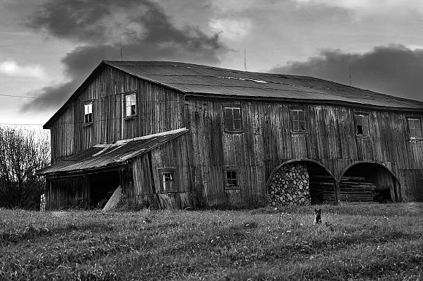 istock Abandoned Canadian old wooden barn 186444684