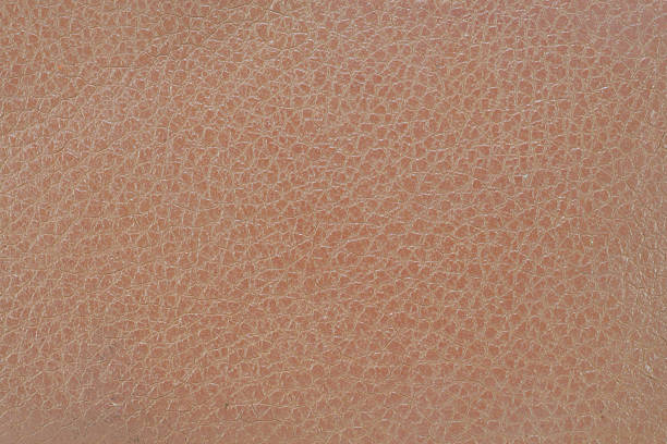 istock dirty old grudge leather wallpaper backgroud 186444832