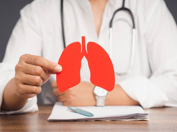 istock Doctor holding a lung shape symbol while sitting at a table in the hospital. 1864474864