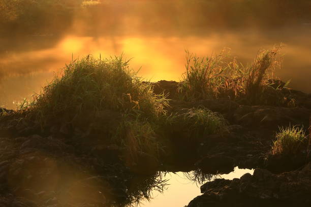 istock sunrise and autumn leaves 1864485815