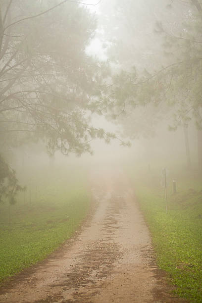 istock Road in the fog 186448941