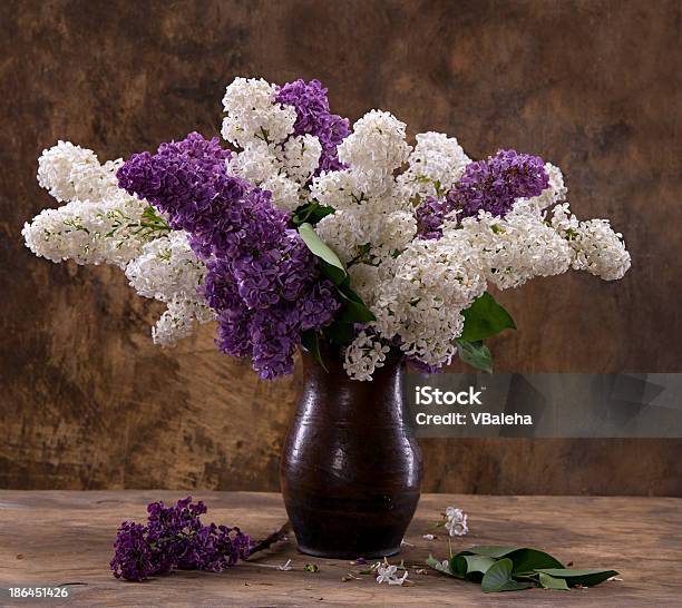 3,006 Still Life Bouquet Lilac Vase Stock Photos - Free & Royalty