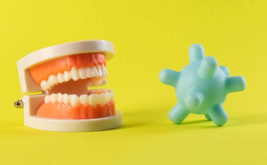 Virus and bacteria model on a yellow background dental jaw mockup. The concept of pathogenic microflora in the oral cavity due to dental caries. oral hygiene, close-up.
