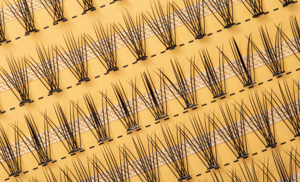 Modern set of false eyelashes for gluing. Women's cosmetics, close-up Modern set of false eyelashes for gluing. Women's cosmetics. clump eyelashes stock pictures, royalty-free photos & images