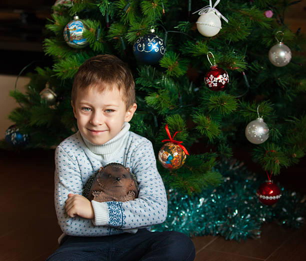 Boy and christmas tree stock photo