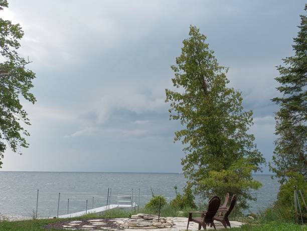 arbre tordu au bord de l’eau - waters edge lake beach tree photos et images de collection