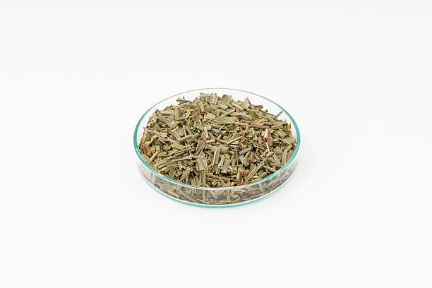 Lemon grass tea stock photo