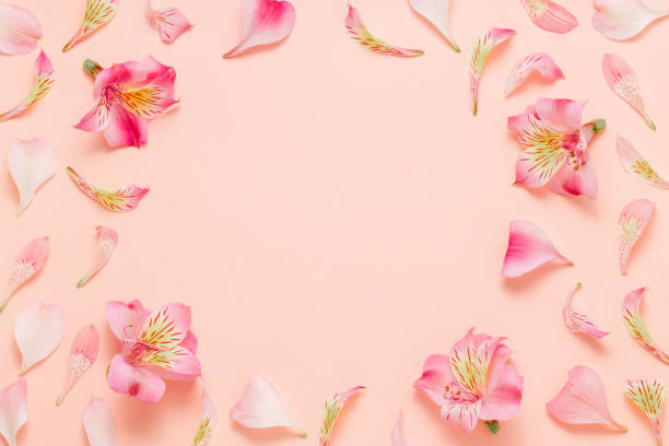 istock Pink petals and flowers frame with copy space for design or invitatio 1864576160