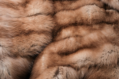 Texture of natural marten fur, luxury outerwear for women, soft fluffy surface of women's winter fur coat close-up for banners and posters.