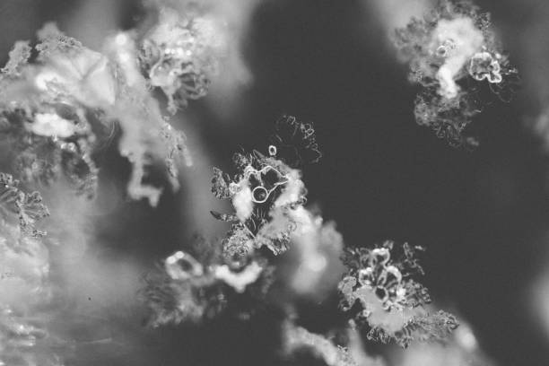 Extreme Close up of water