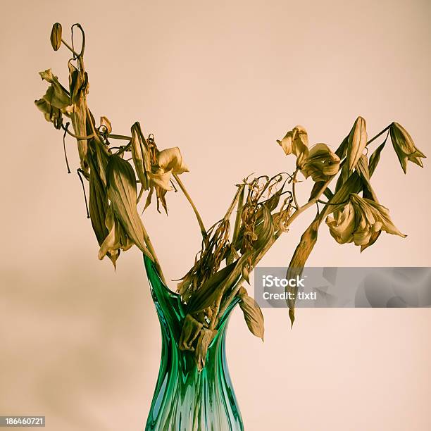 Dried Flowers In A Vase Stock Photo - Download Image Now - Aging Process, Autumn, Bouquet