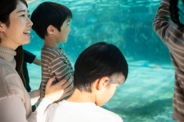 istock Family looking at penguins in aquarium 1864612948