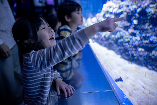 Kids enjoying in aquarium