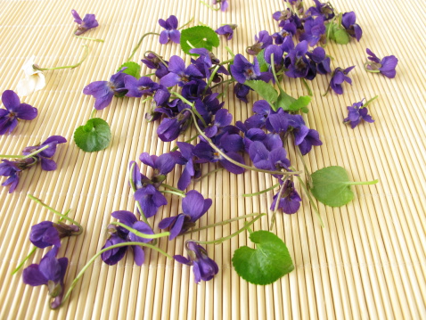 Sweet violets - Märzveilchen