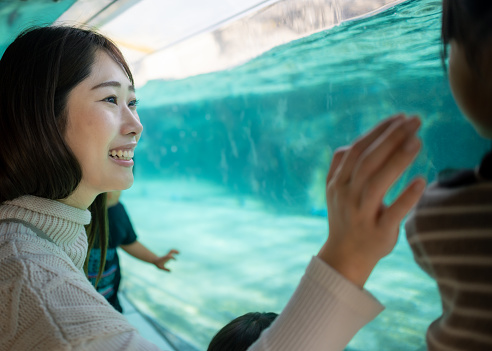 Family looking at penguins in aquarium