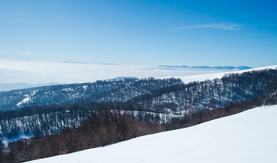 Beautiful winter landscape under the blue sky on the snowy mountain with forest area