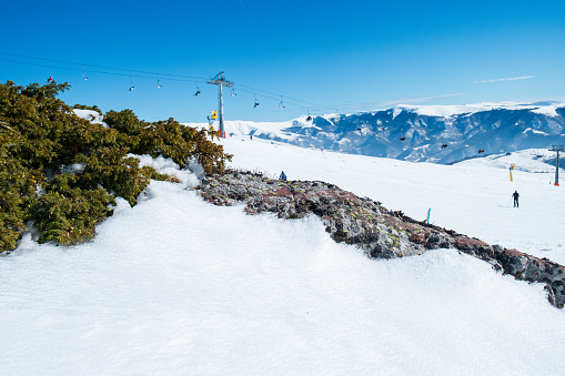 Ski slopes and ski lift in the mountains under the clear blue sky, snow covering land, green bushes resisting the cold