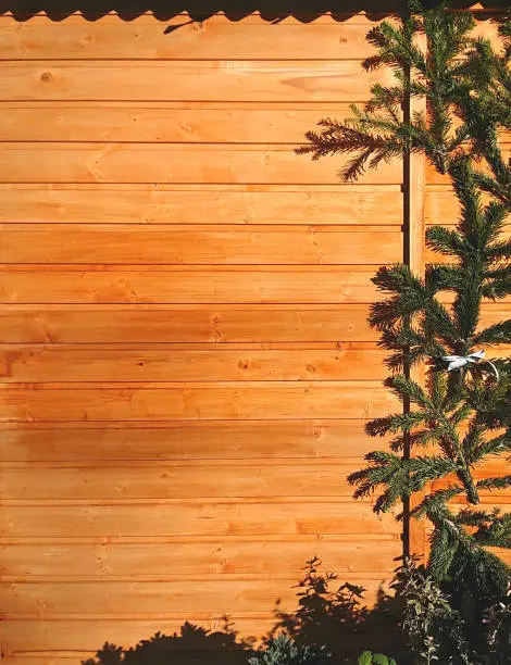 green christmas tree fir branches in front of an austrian wooden wall hut in austria in winter, green fir branch from christmas trees, space for Christmas cards Text, wood background for Christmas card invitations and collages