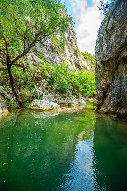 istock Canyon of wild river Belica 1864643831