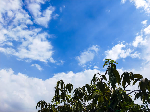 Blue sky and white clouds background. Nature cloud blue sky and white cloud on blue sky.