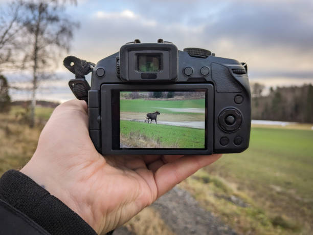 istock Cropped hand holding a camera outdoors 1864650865