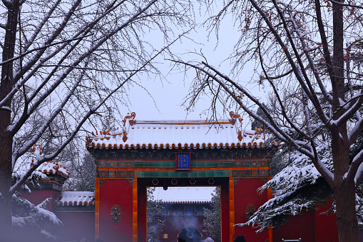 Beijing saw its first-round snowfall of this winter season on last Wednesday, leaving residents to wake up a capital blanketed with powdery white snow. The photo was taken in the Lama Temple (Yonghe Temple) Beijing. There are many ancient buildings in and around the temple, which is the unique sight when covered with snow. That day happened to be the first day of Chinese calendar, and many people came to the temple to pray despite the cold.