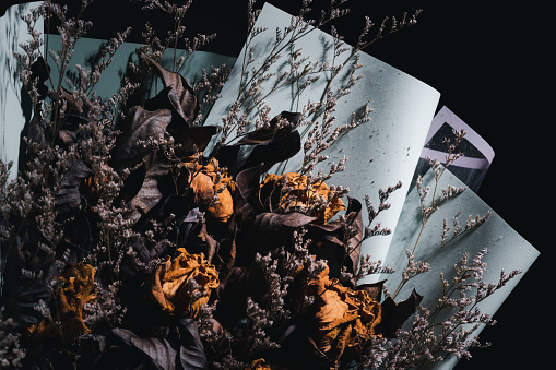 vintage-inspired floral arrangement. Dried flowers delicately presented on a dark background create a unique and artistic composition, perfect for interior design and more