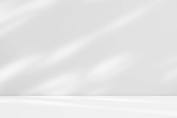 istock Empty white room studio with shadow of leaves overlay on wall and floor. 1864693173