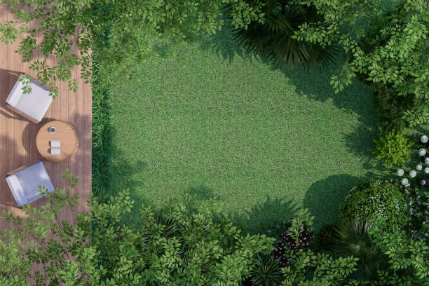 istock Top view wooden terrace with tropical style garden 3d render 1864711625