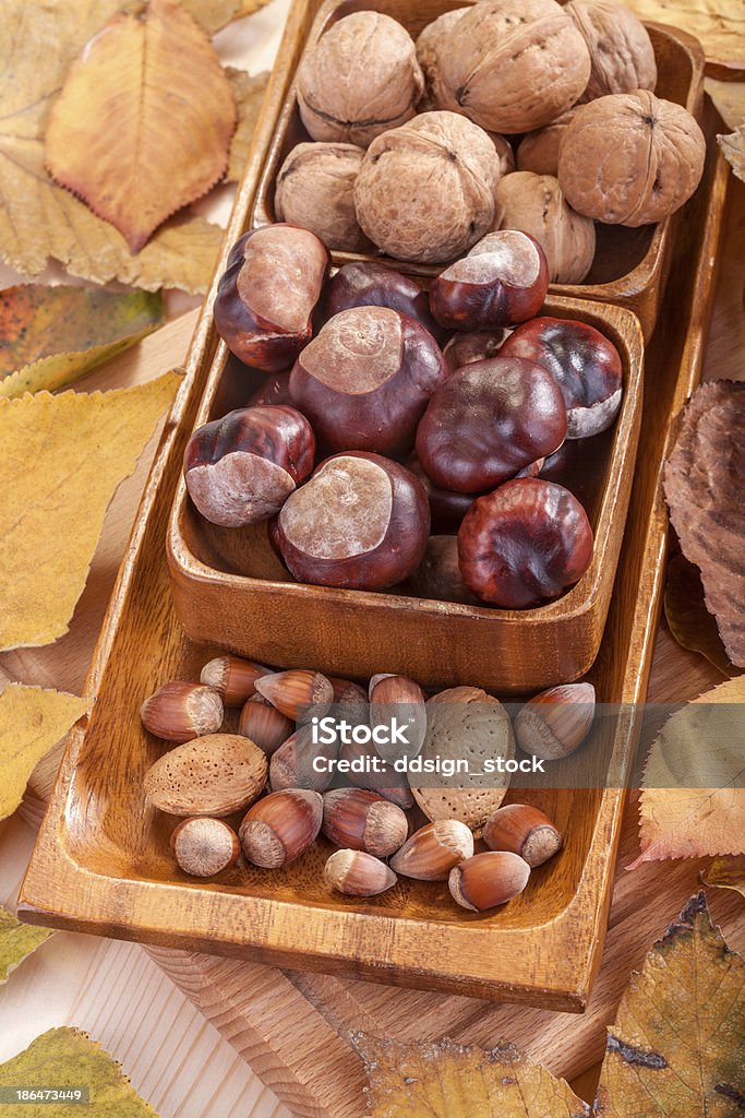 Walnüsse, Haselnüsse, Mandeln Kastanien - Lizenzfrei Braun Stock-Foto