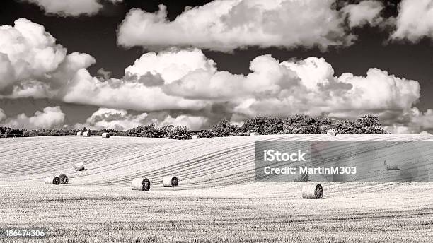 Monochrom Weizen Feld Mit Straw Bales Und Bewölkten Himmel Stockfoto und mehr Bilder von Agrarbetrieb