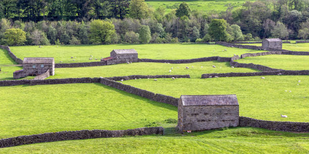 istock Gunnerside in Swaledale, Yorkshire Dales 1864803193
