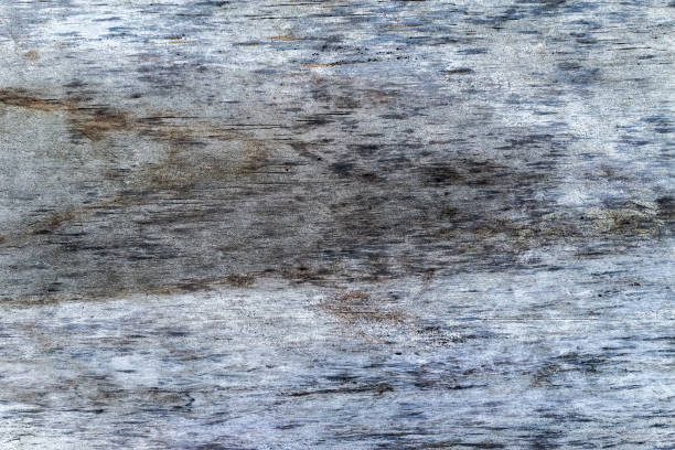istock Beautiful wood grain. Wood background. Wood grain pattern texture background 1864822951