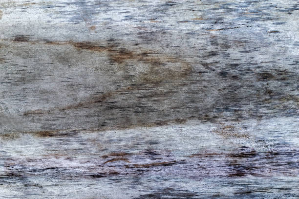 istock Beautiful wood grain. Wood background. Wood grain pattern texture background 1864822961