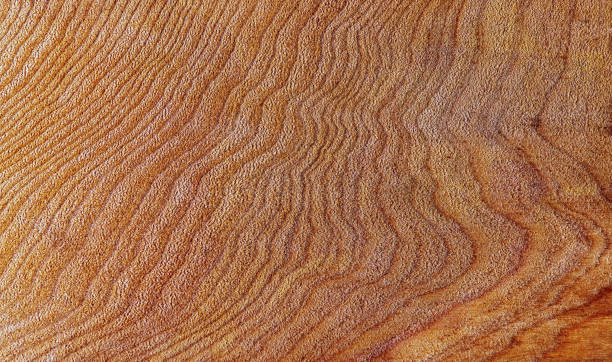istock Beautiful wood grain. Wood background. Wood grain pattern texture background 1864823510